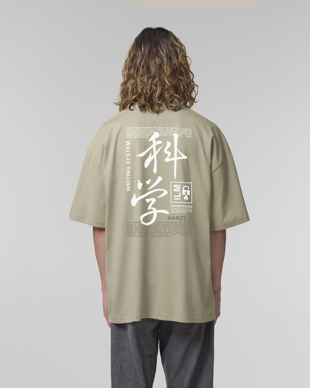 ILM - WRITING SYSTEM.2